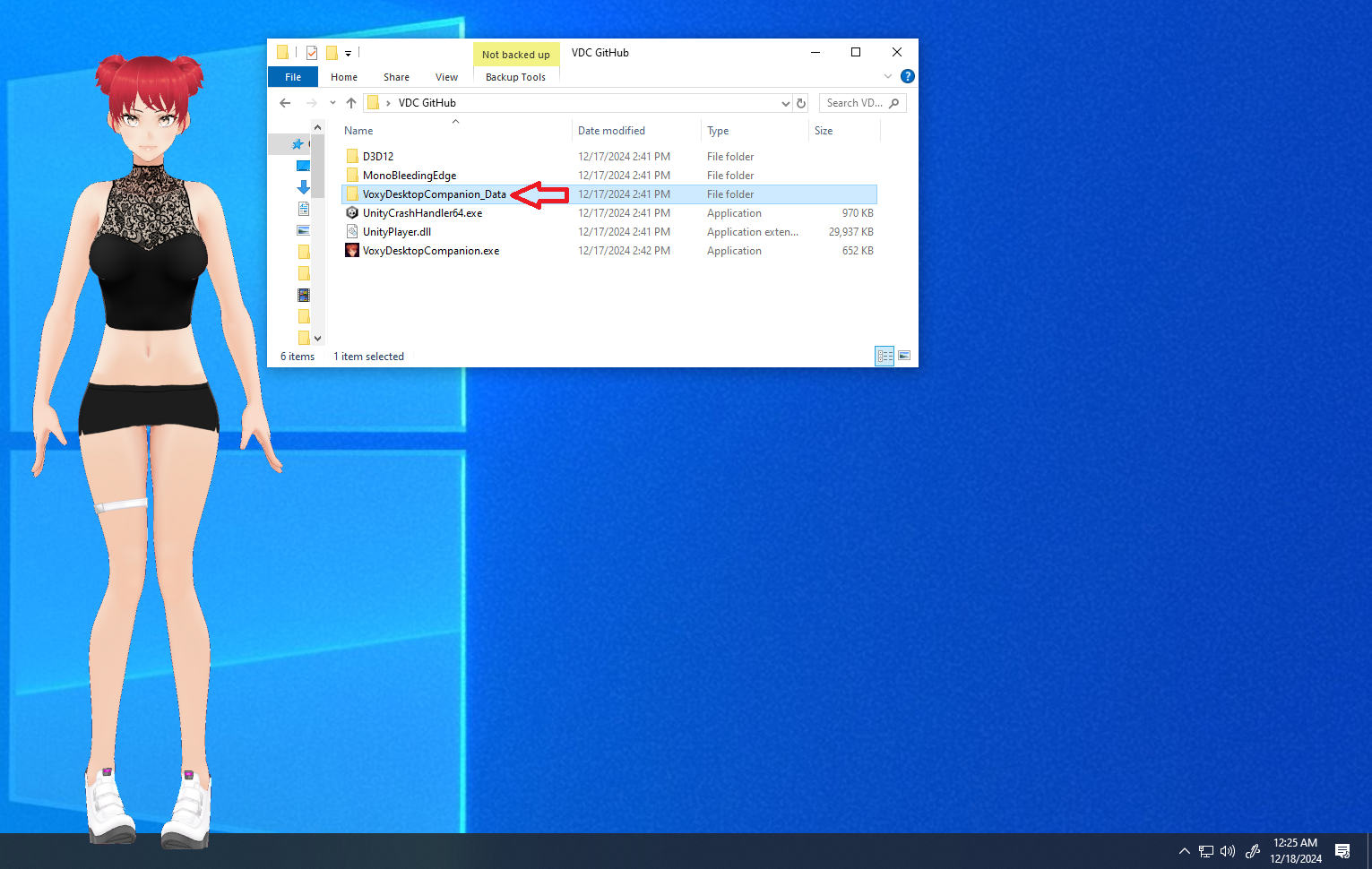 The VoxyDesktopCompanion_Data folder next to the .exe