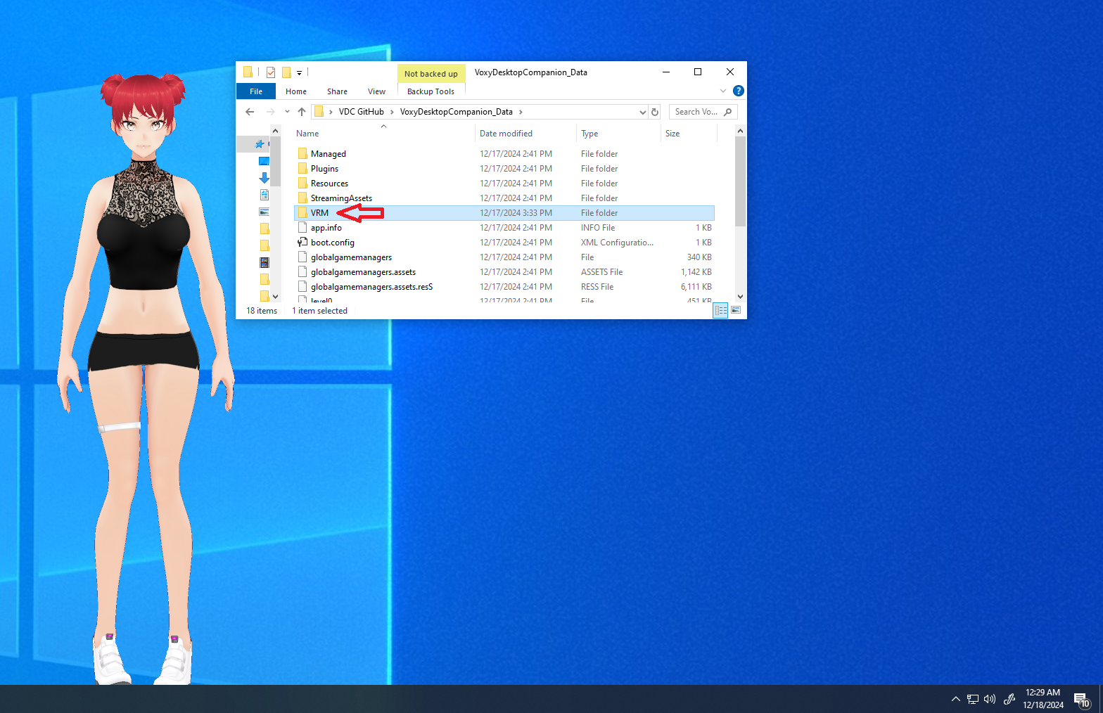 The VRM folder inside VoxyDesktopCompanion_Data
